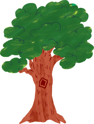Story Book Oak Tree